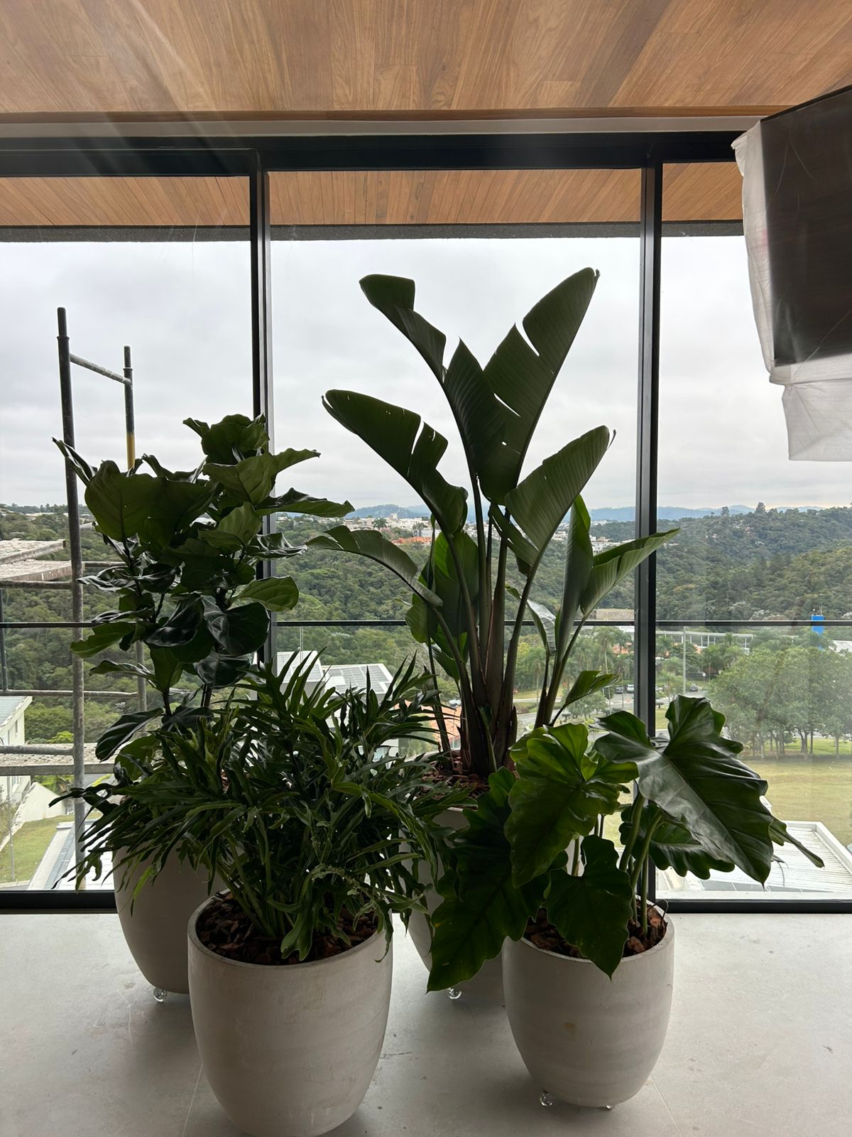 Projeto Paisagístico